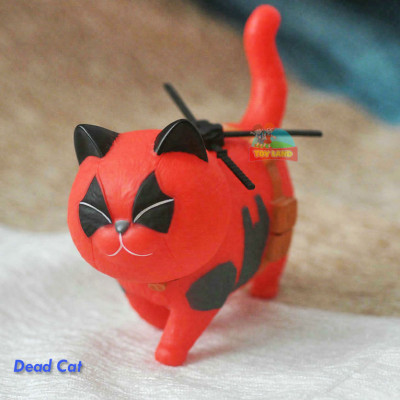 Dead Cat : 37862